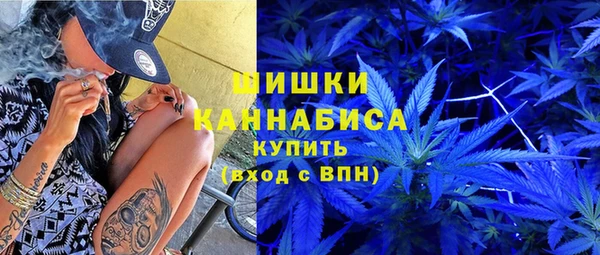 ГАЛЛЮЦИНОГЕННЫЕ ГРИБЫ Кукмор