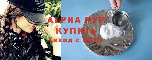 прущие грибы Медногорск